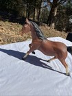 Nice Vintage Breyer Horse  124 Running Mare Sugar Nice Shading Eye Whites Bay
