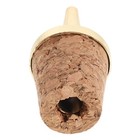 Wine Pourer And Stopper  Bottle Pourer Stopper Spout Cork - Oil Spirit