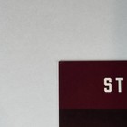 Parade Broadway Revival Windowcard Ben Platt Micaela Diamond Original Print