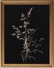  Framed Canvas Wall Art  Vintage Wall Art Floral Canvas 8l  X 10w  Botanical