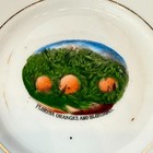 Oranges   Blossoms Florida Antique Souvenir China Dish Plate