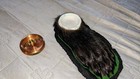 Vintage Taxidermy Bear Paw Ashtray 
