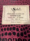 Vintage Selsi Prepared Animal Slides For Microscope Made In Japan
