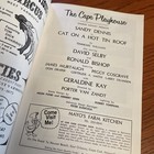 Cape Playhouse  49th Season 1975 David Selby Dark Shadows Cat On A Hot Tin Roof