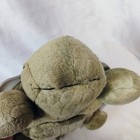 Cloud B Twilight Turtle Night Light Star Projector Blue Green Orange