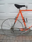 Raleigh International Steel Road Racing Bike Campagnolo Frame Seat Tube 62 Proj