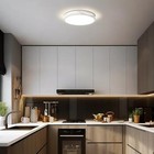 Modern Dimmable Ceiling Light Fixture 5cct In One Led Flush 11 81 In White