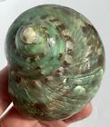 Antique Tozai Jade Turbo Conch Seashell Mother Of Pearl Iridescent Shell