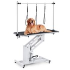 43 3 Inch Hydraulic Dog Grooming Table For Pet Professional Pet Grooming Table