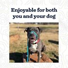 Forest Green 6-ft  English Slip Lead Dog Leash - 6  X 1 2  By Mad Dog Products
