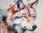 11  X 14  Matted 8  X 10  Print Of Watercolor Portrait Painting Of A Wolf
