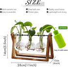 Plant Terrarium With Wooden Stand  Air Planter Bulb Glass Vase Metal Swivel Hold