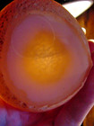 Enhydro Enhydra Agate Intuitive Mind Ascension Gazing Stone Crystal Magic Buddha