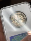 1925 California Comm  Half Dollar 50c Ngc Ms64 Fatty Holder Rainbow Toned  9003