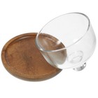 Wooden Dessert Cup Cake Dish With Cover Cups Lids Glass Dome