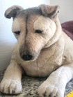 Vintage Avanti Applause German Shepherd 24  Long Plush Dog 