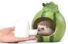 Ceramic Small Pet Water Feeder 8oz Silent Automatic Bottle For Hamster Ferret
