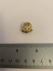 Oes Order Of The Eastern Star Past Patron Lapel Pin P164