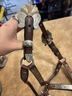 Dale Chavez Show Halter-weanling Or Small Pony Size
