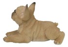 Sitting Realistic Adorable French Bulldog Puppy Dog Frenchie Figurine 8 25 l