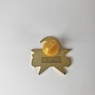 Outback Steakhouse Alligator Gator Orlando I-drive Collector Pin   kk13 