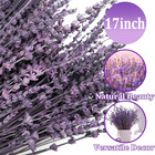 3 5oz Dried Lavender Bundle     230  Real French Lavender Stems With Natural Aroma