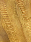 Ostrich Legs Skin Leather  Mustard Color Glazed Grade B