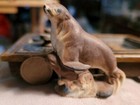 Vintage Plastic Seal On Rocks Figurine