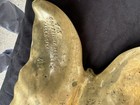 Vintage Virginia Metalcrafters Cala Lily Leaf Brass Tray   14    Size Large