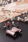 Vixen Binoculars Saqras H6  16 16481-3
