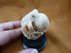  tb-octo-50-6  Standing Octopus Tagua Nut Palm Figurine Bali Reef Octopi