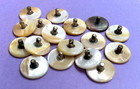 12 Vintage Lustrous White Mother Of Pearl Buttons  11 16  Dia   Metal Shank