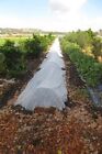 0 55oz Floating Row Crop Cover frost Blanket  garden Fabric Plant Cover 7 50ft