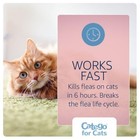 For Cats Flea And Tick Treatment   Prevention Over 1 5 Lbs 3-month Supply