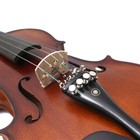 New 5 String Acoustic Violin Sprucetop Ebony Fitting With Tuners Maple Back
