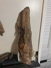 Large Natural Driftwood Piece For Woodworking Or Craft Projects