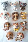 11 Pc Lot Littlest Pet Shop Lps Variety Dog Basset Spaniel Chihuahua  219   More