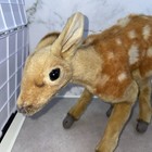 Hansa 2015 Plush Stuffed Baby Deer Fawn Bambi Faux Fur Toy