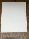 Cast Of Andy Griffith Show Vintage Original Photo 10  X 8 