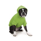 Zack And Zoey Basic Hoodie For Dogs 20in Large Parrot Green