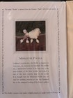 Poodle Vintage Greeting Cards By Otter House Uk 1999 Pack Of 6