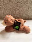 Beanie Boppers Nwt Boyce Brown Bear Plush Toy  Vintage 1997
