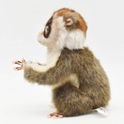 Hansa Hansa Slow Loris 17 Animal Stuffed Toy