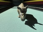 Schleich African Rhinoceros Wildlife Safari Rhino Figure 2001 Retired 14193 Toy