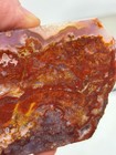 Mexican Red Moss Agate Slab Lapidary Cabbing Combo Ship Avail