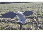 Mojo Elite Series Dove Motion Decoy