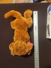 Fao Schwarz Adopt-a-pet Plush Dog 14  Brown Puppy Stuffed Animal Nwt Adoption 