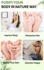 Kinoki Cleansing Detox Foot Pads 10ct Box  X2   20 Pads 