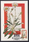 Australia 1986 Alpine Wildflowers Set Of 3 Aspc Maxi Cards