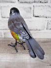 Small Rustic 8  Long Summer American Robin Red Breast Metal Tin Song Bird Figure